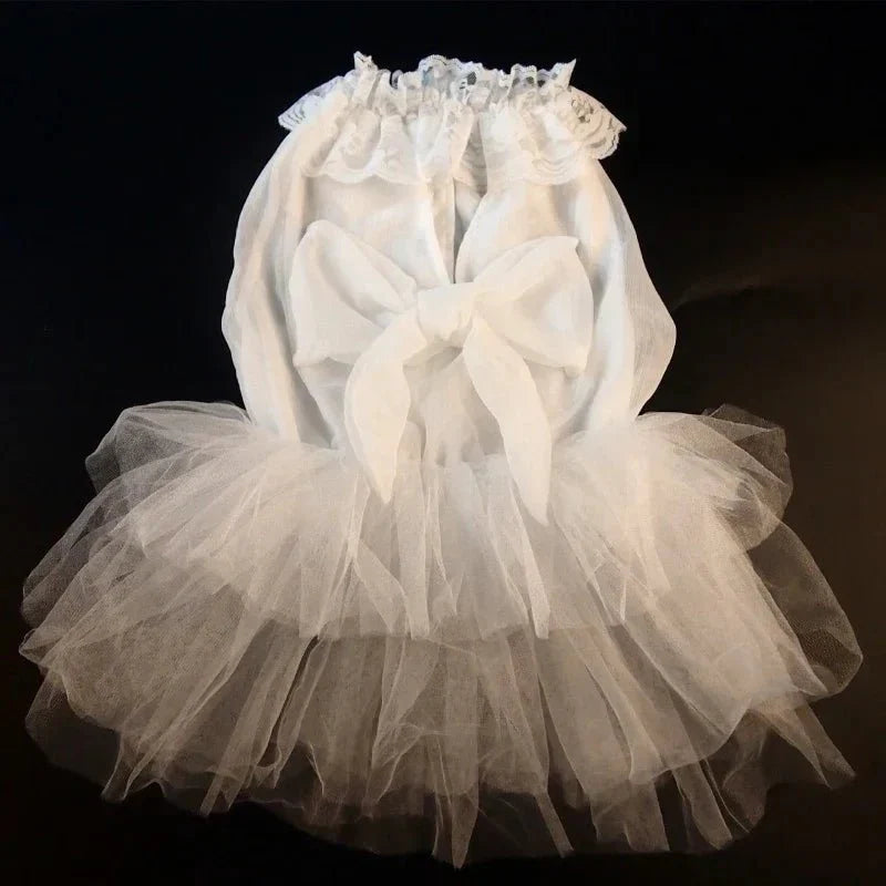 Robe pour Gros Chien
