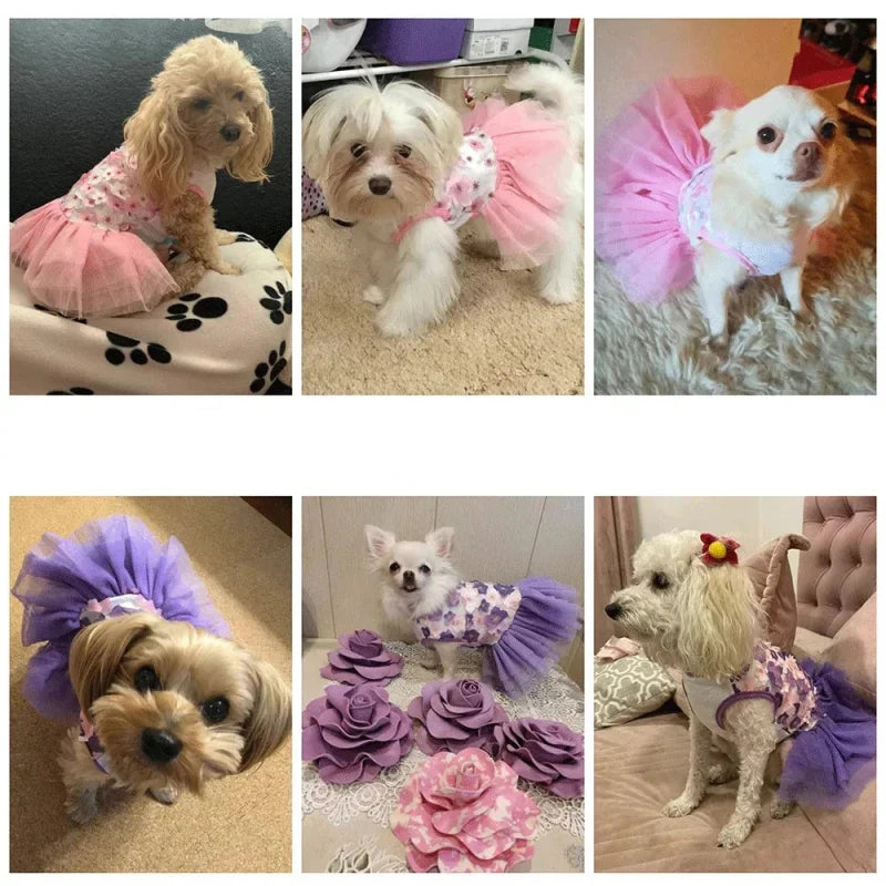 Robe pour Mini Chien Rose