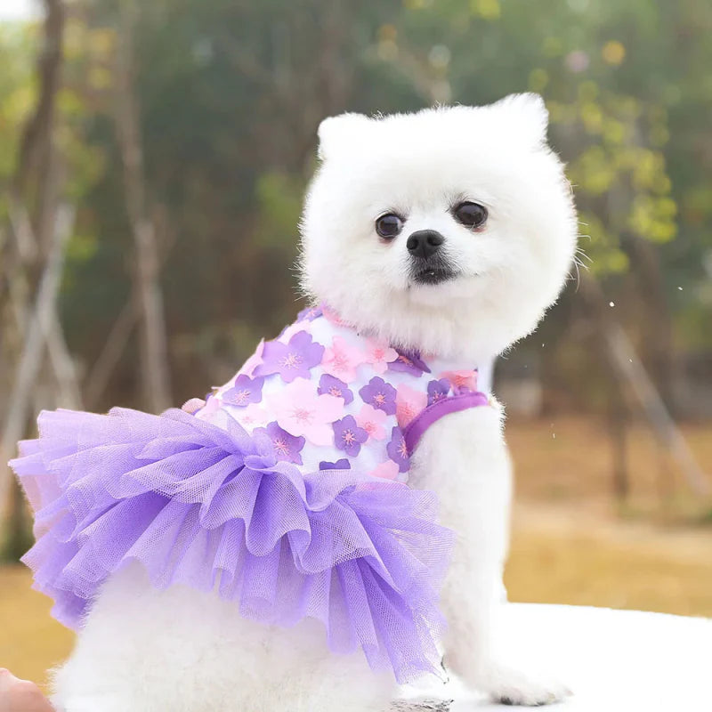 Robe pour Mini Chien Rose
