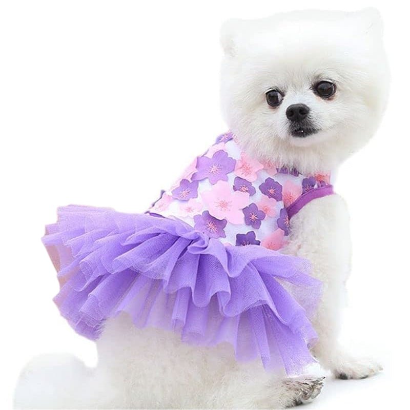 Robe pour Mini Chien Violet