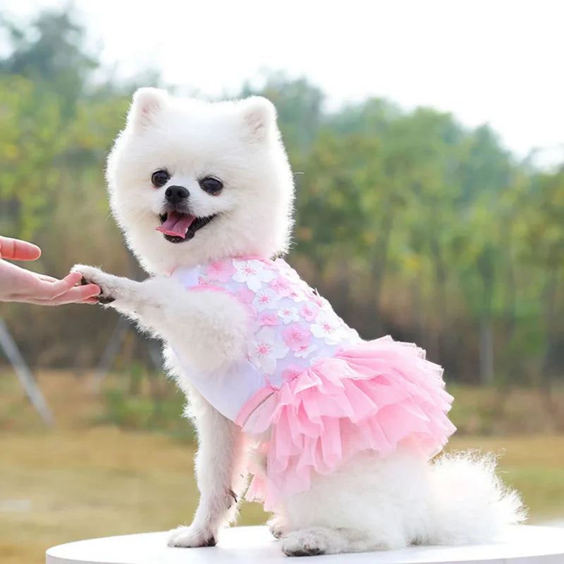 Robe pour Mini Chien Rose