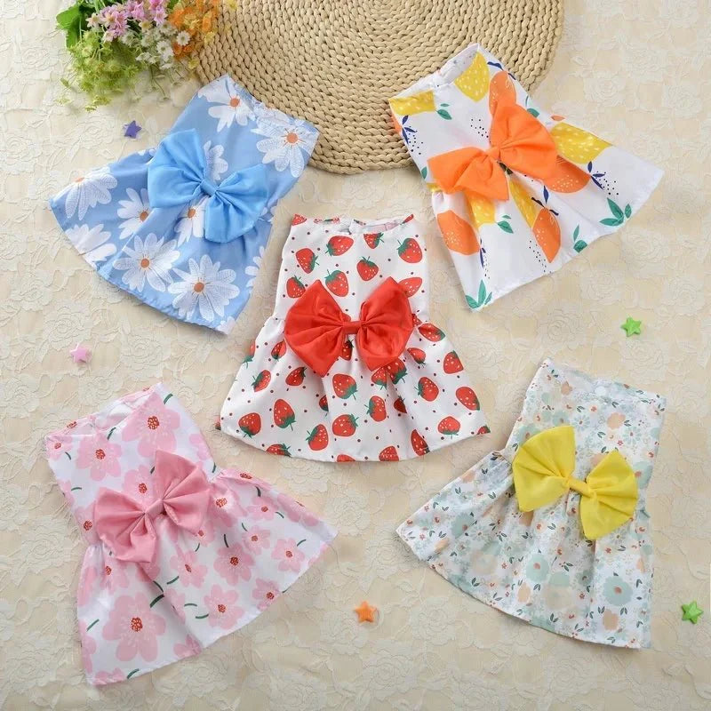 Robe pour Petit Chien