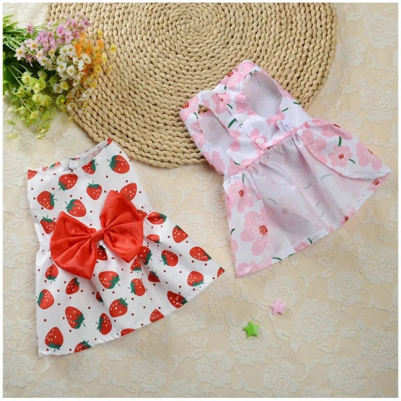Robe pour Petit Chien