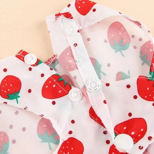 Robe pour Petit Chien