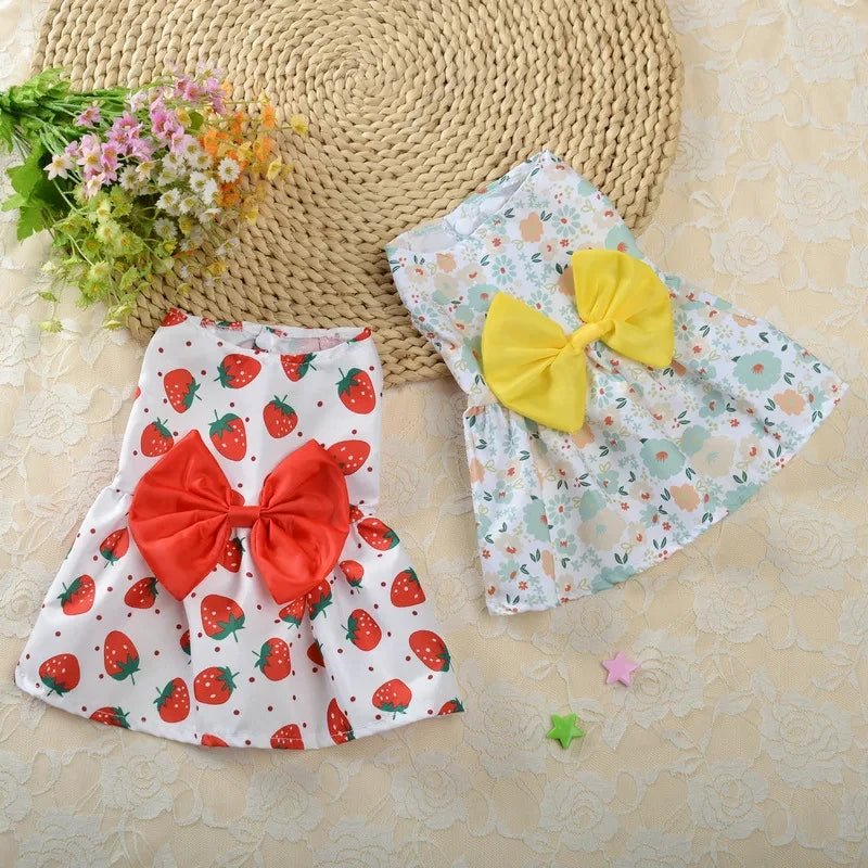 Robe pour Petit Chien