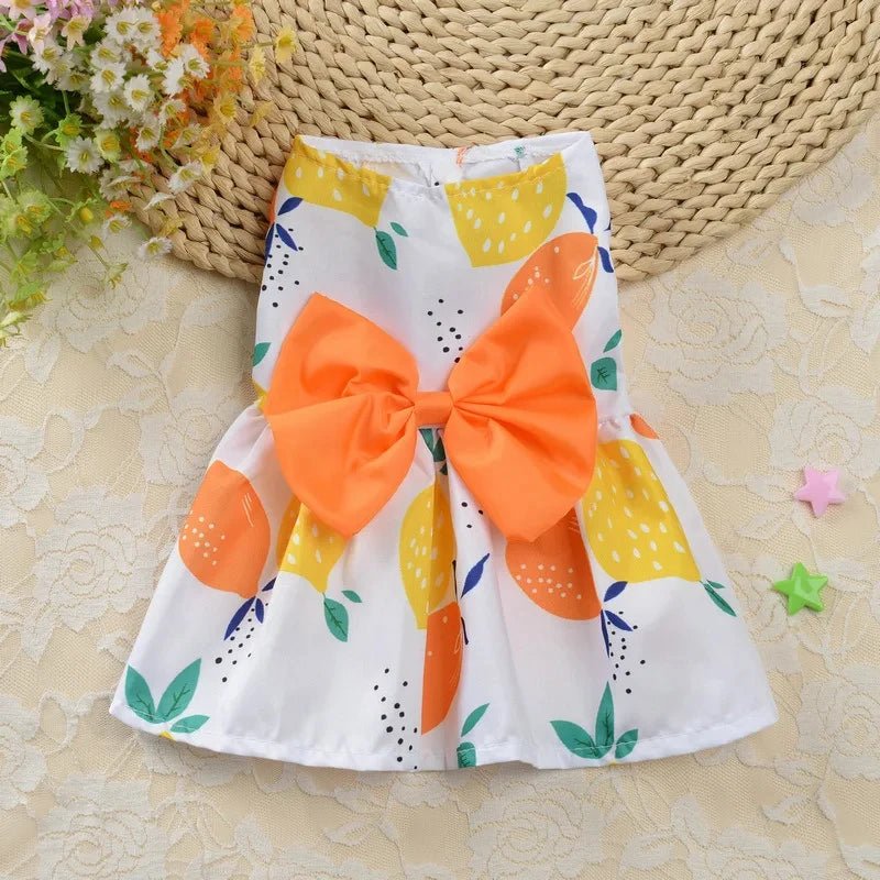 Robe pour Petit Chien Citron