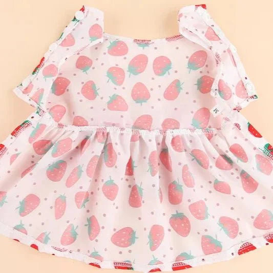 Robe pour Petit Chien