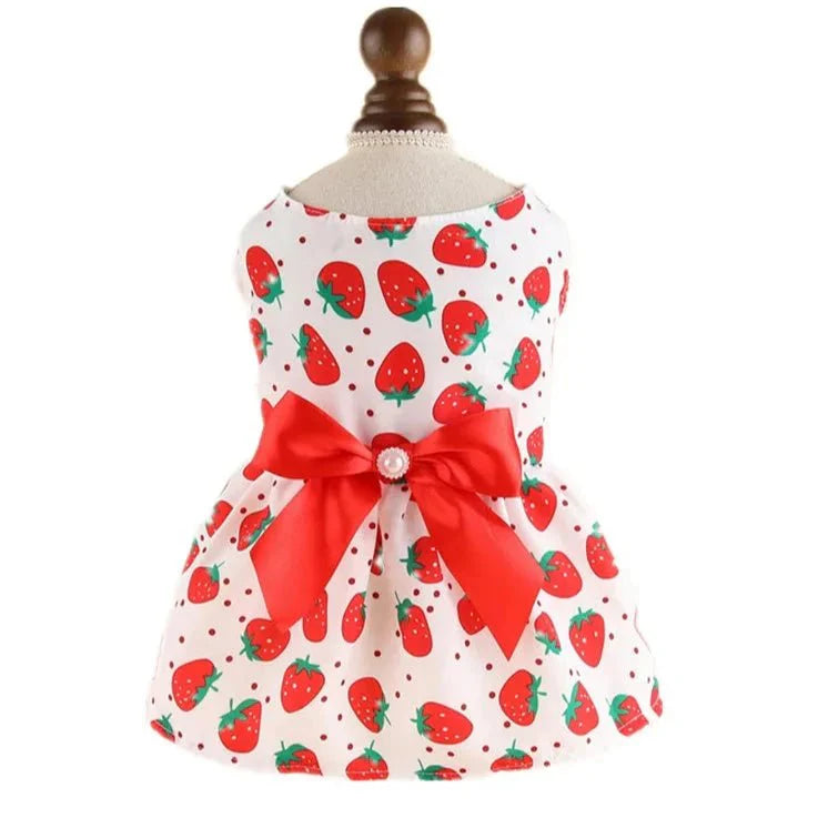 Robe pour Petit Chien