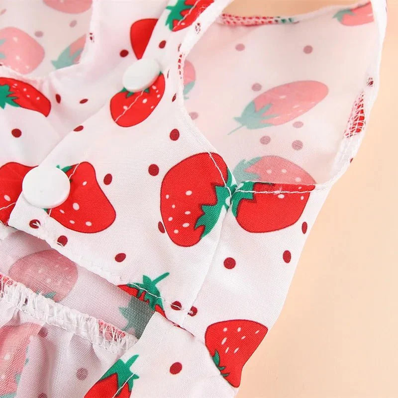 Robe pour Petit Chien