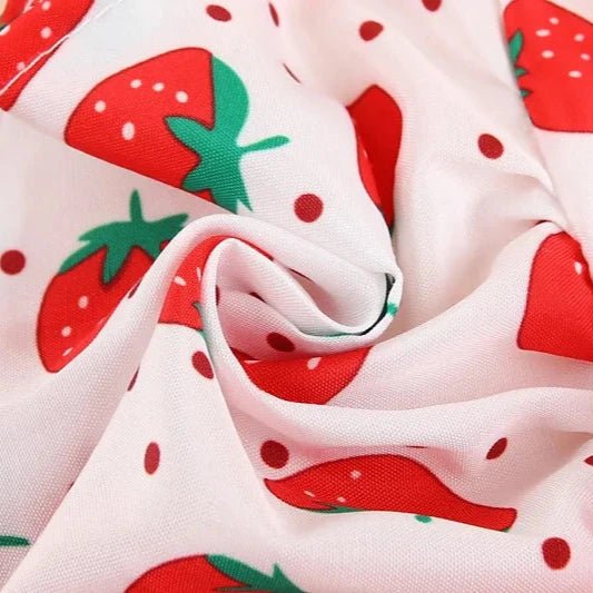 Robe pour Petit Chien