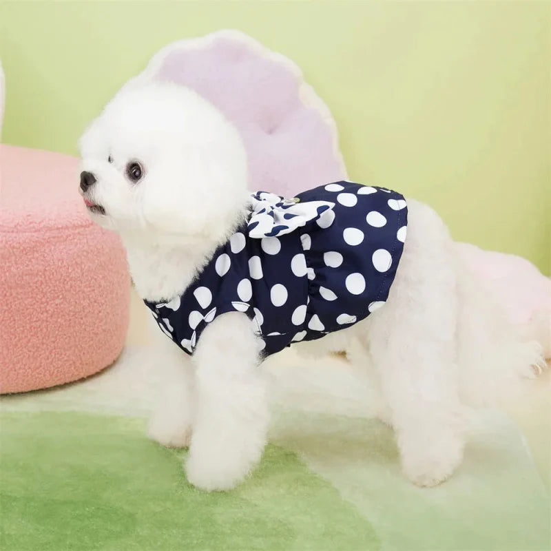 Robe pour Yorkshire & petit chien