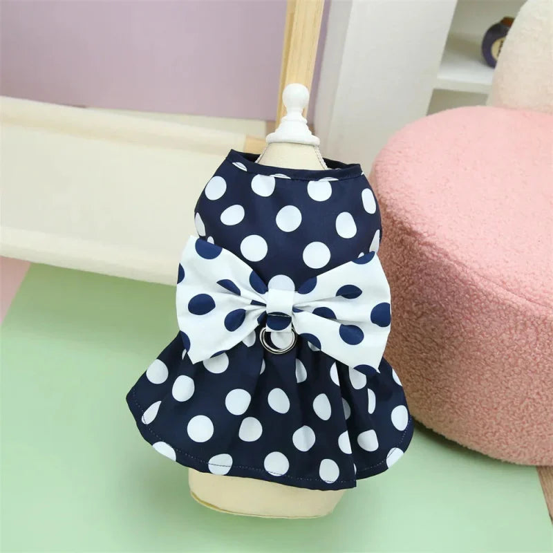 Robe pour Yorkshire & petit chien