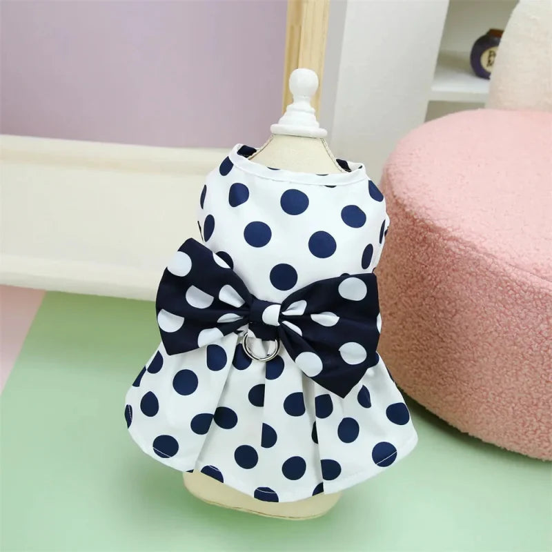 Robe pour Yorkshire & petit chien