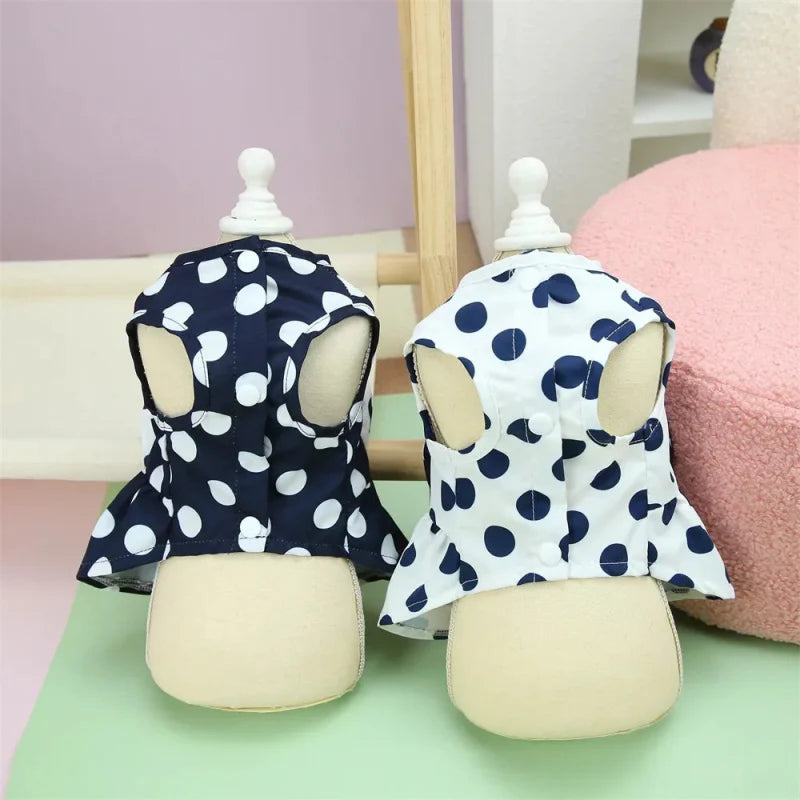 Robe pour Yorkshire & petit chien