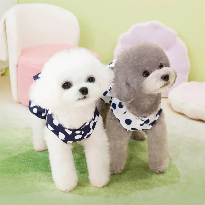 Robe pour Yorkshire & petit chien