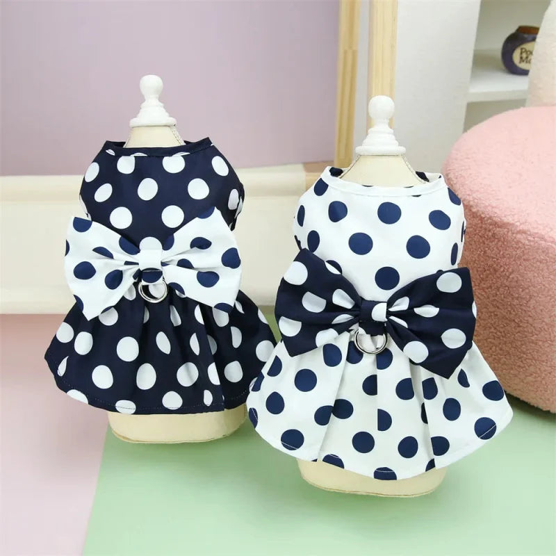 Robe pour Yorkshire & petit chien