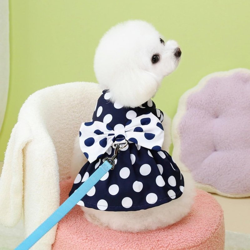Robe pour Yorkshire & petit chien