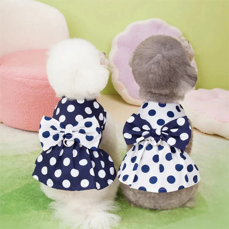 Robe pour Yorkshire & petit chien