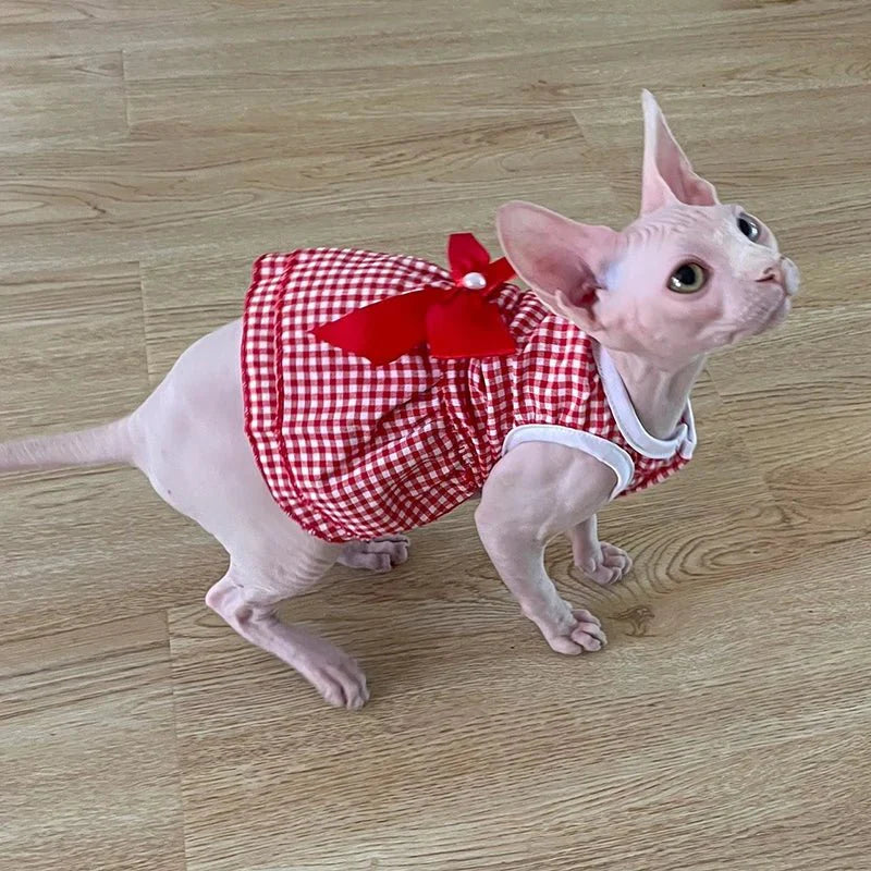 Robe Rouge pour Chat
