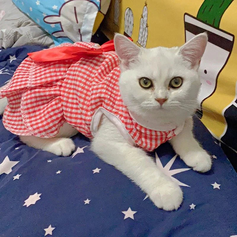 Robe Rouge pour Chat