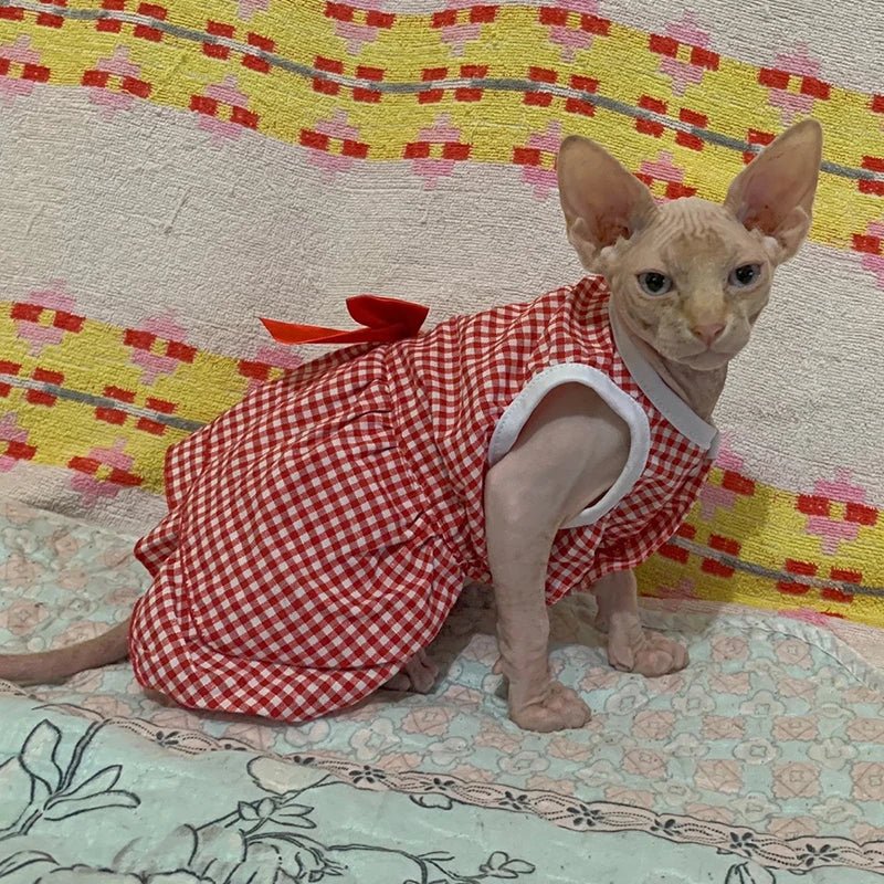 Robe Rouge pour Chat