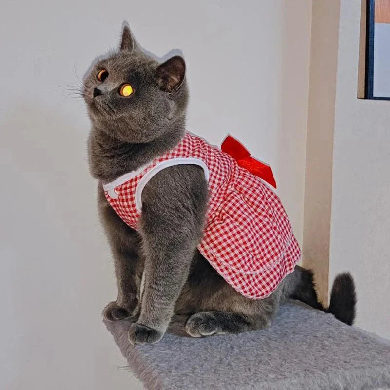 Robe Rouge pour Chat