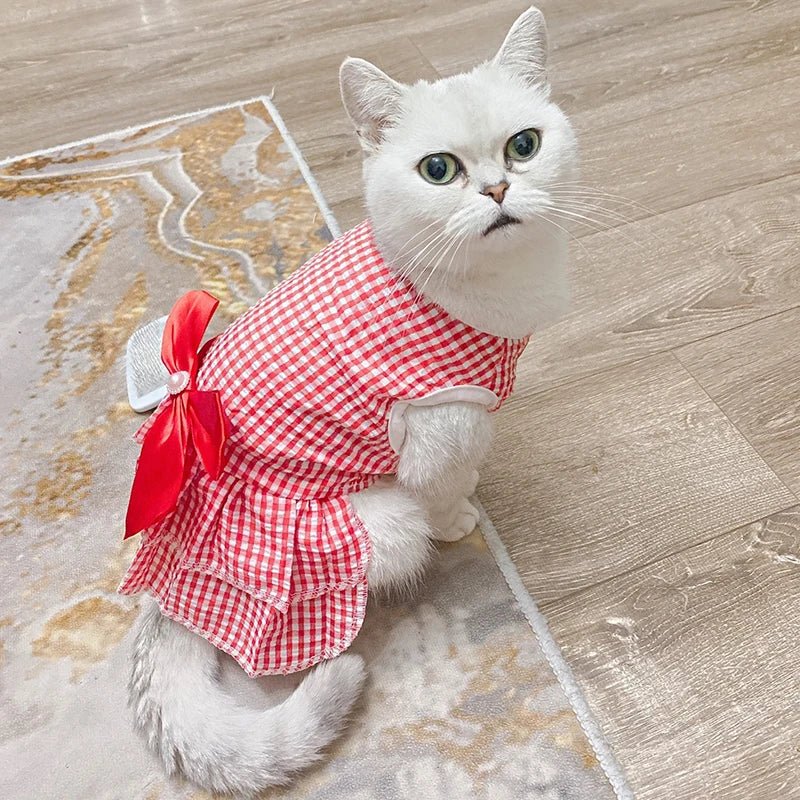 Robe Rouge pour Chat