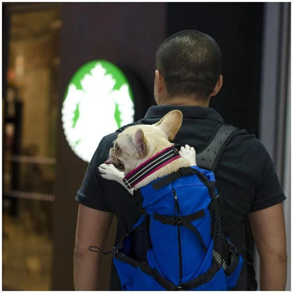 Sac a dos chien | CaniComfort™