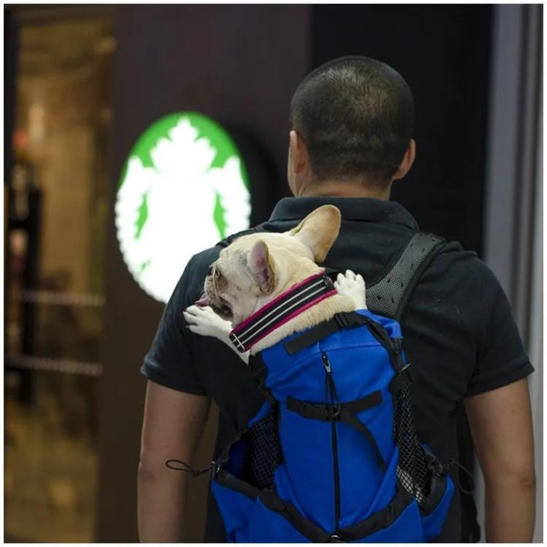 Sac a dos chien | CaniComfort™