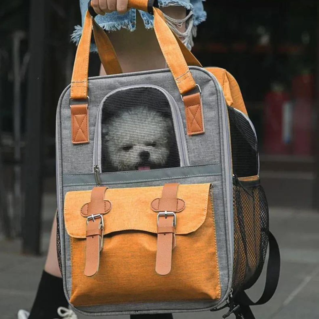 Sac a dos chien | Pawsential™
