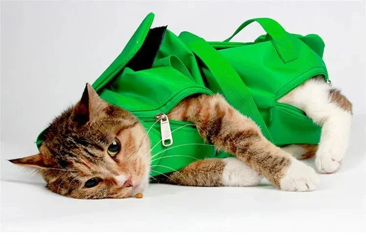 Sac À Dos De Voyage Pour Chat Ou Petit Chien