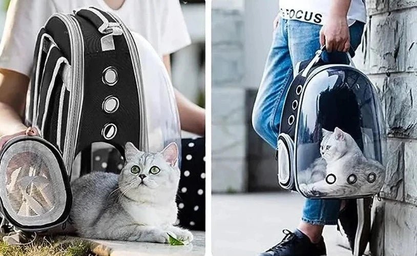Sac À dos De Transport Pour Chat Et Chien