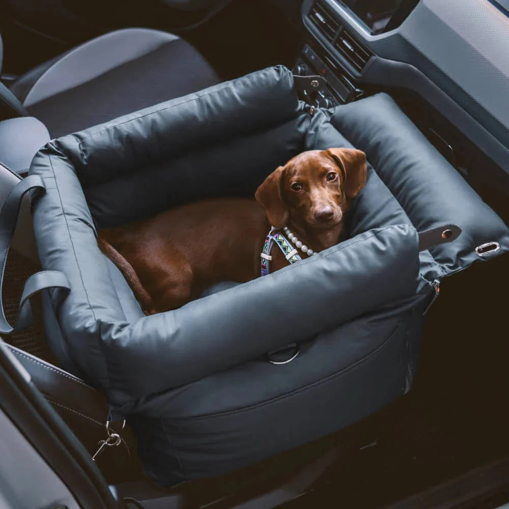 Sac De Transport Chien Résistant Design