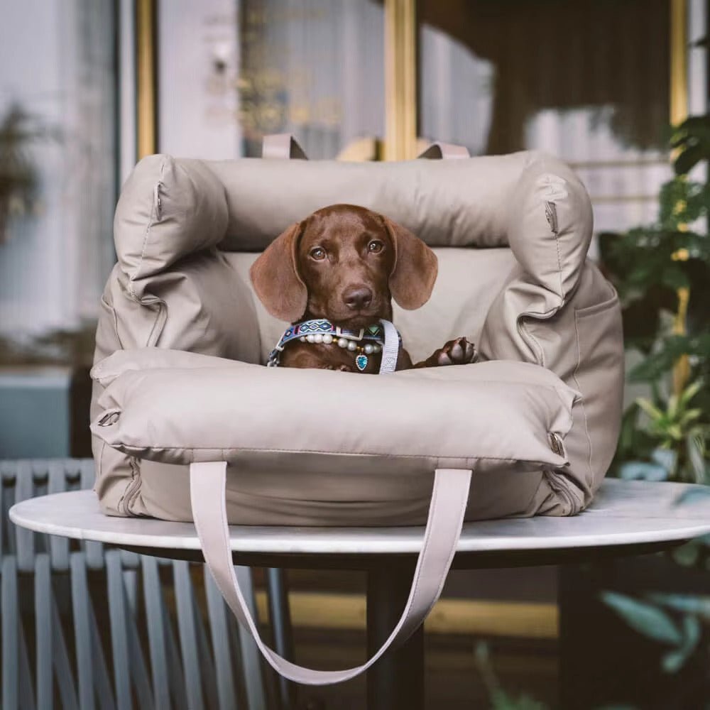 Sac De Transport Chien Résistant Design