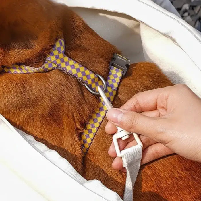 Sac De Transport Moelleux Pour Chien