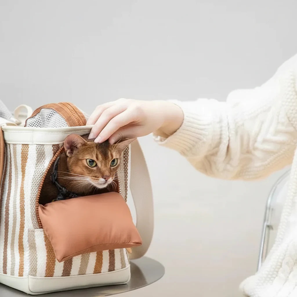 Sac De Transport Pour Chat Et Chien 6 Kg