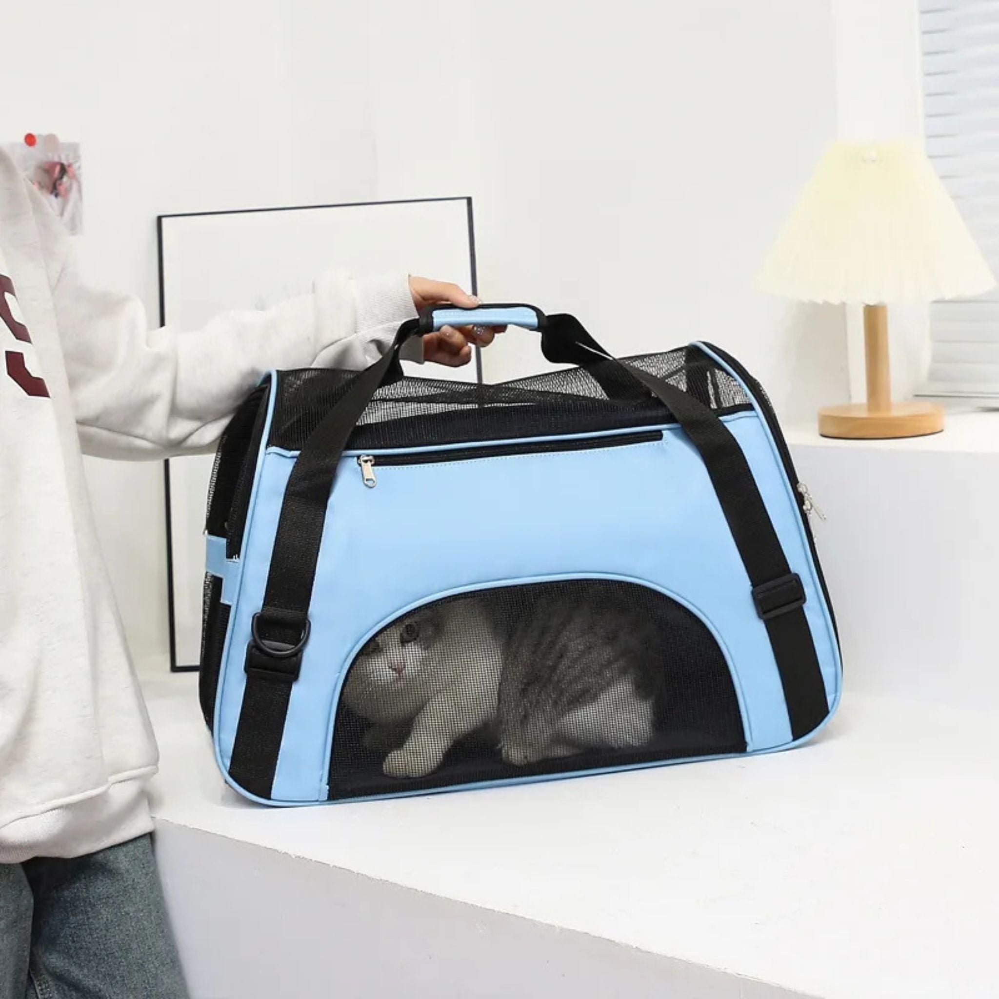 sac-transport-chat-poignée