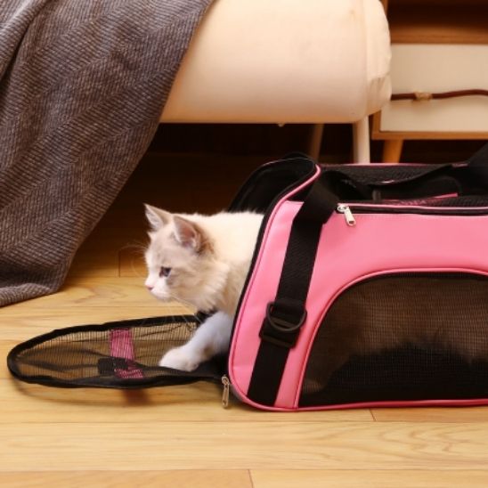 sac-transport-chat-rose-ouverture