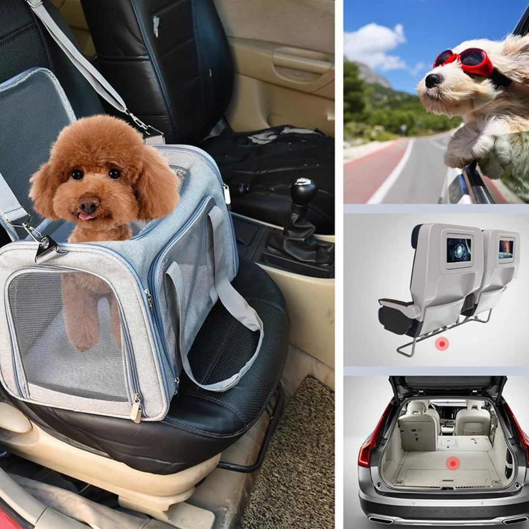 Sac transport chien | CaniCarrier™
