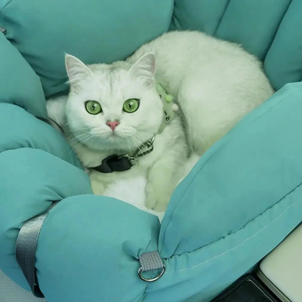 Siège voiture pour chat et chien - Sac transport sécurisé