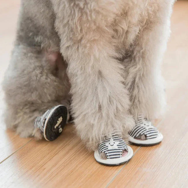 Sandale pour Chien