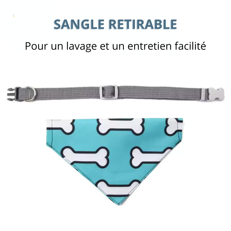 Bandana Chien Pamplemousse