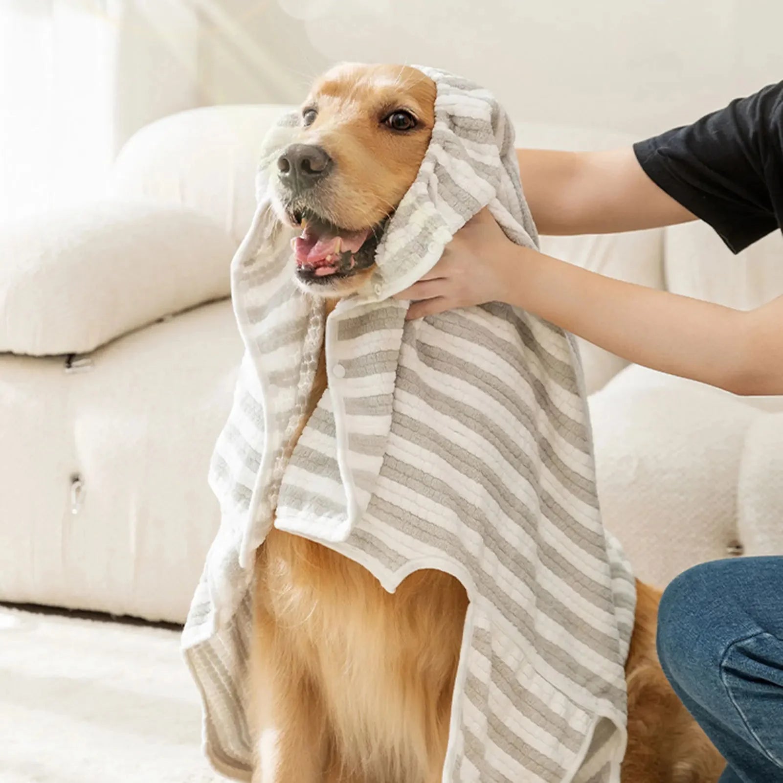 Serviette de bain microfibre pour chien ultra absorbante