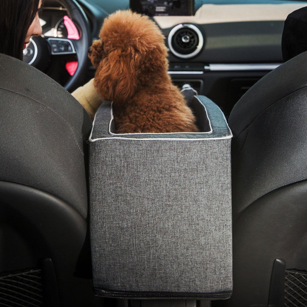 SIEGE AUTO CHIEN | SafeRider™