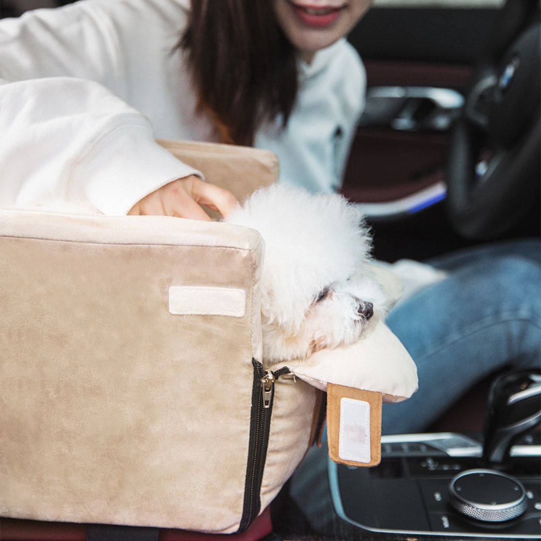 SIEGE AUTO CHIEN | SafeRider™
