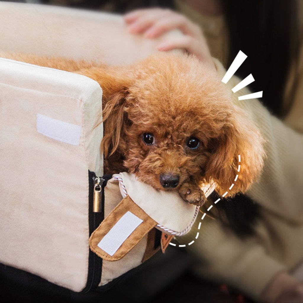 SIEGE AUTO CHIEN | SafeRider™