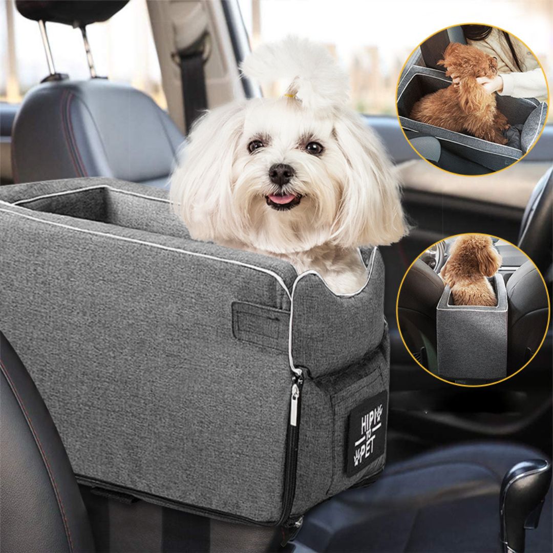 SIEGE AUTO CHIEN | SafeRider™