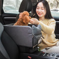 siege-auto-chien-gris-protection