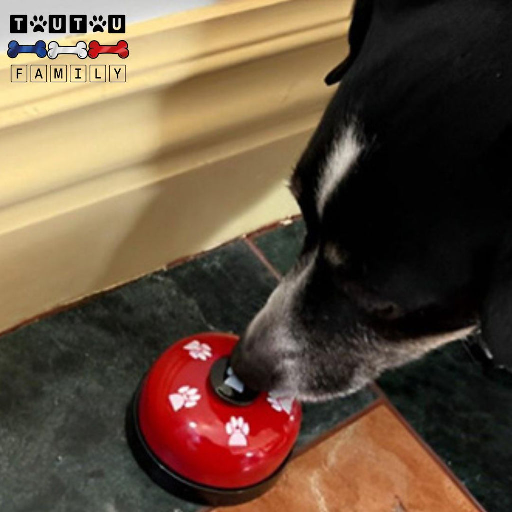 Sonnette pour chien - DemandeToutou™