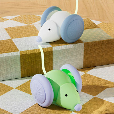 souris pour chat interactive